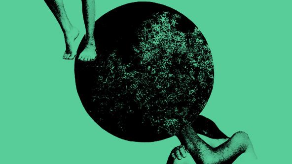 GADDUS_Cover-20_11_piatto